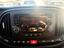 Immagine 12