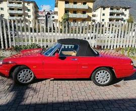 ALFA duetto/gtv 6 2500
