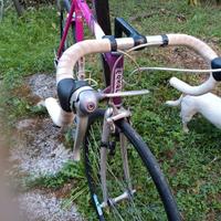 Bicicletta da corsa m.56