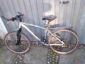 BICICLETTA LONGONI FRENI A DISCO