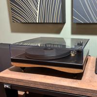 Gold Note Pianosa + Donatello Gold