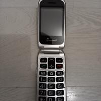 Cellulare Easytech
