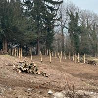 Legna per camino e stufe