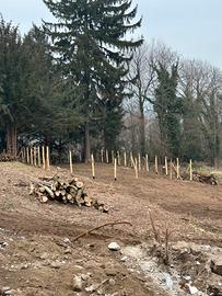 Legna per camino e stufe