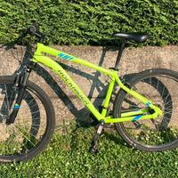 Bicicletta st 100