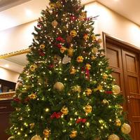 Albero di Natale altezza 2,90 metri