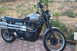 Triumph scrambler 900 del 2013