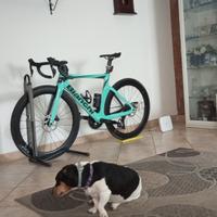 Bianchi oltre comp nuova