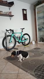Bianchi oltre comp nuova