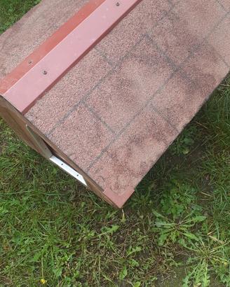 cuccia in legno x cane