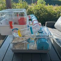 2 Gabbiette criceto unite con tubi