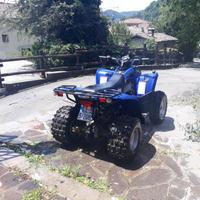 Quad polaris phoneix 200