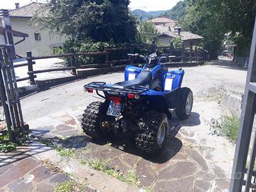 Quad polaris phoneix 200