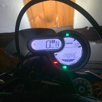 Ducati scrambler 1100