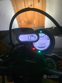 Ducati scrambler 1100