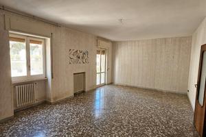 Ampio quadrivani luminoso