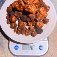 Tartufo