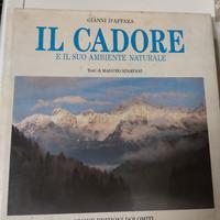 Il cadore gianni d'affara