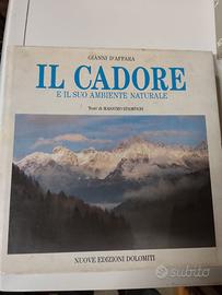 Il cadore gianni d'affara