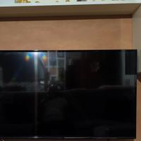 Televisori Hisense 49 pollici e LG  55 pollici