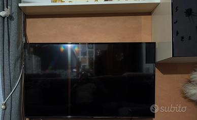 Televisori Hisense 49 pollici e LG  55 pollici