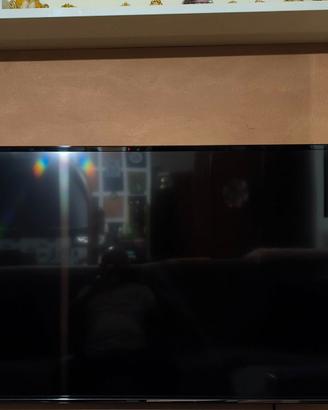 Televisori Hisense 49 pollici e LG  55 pollici