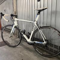 Giant tcr carbonio