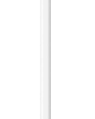 Apple Pencil (USB-C)