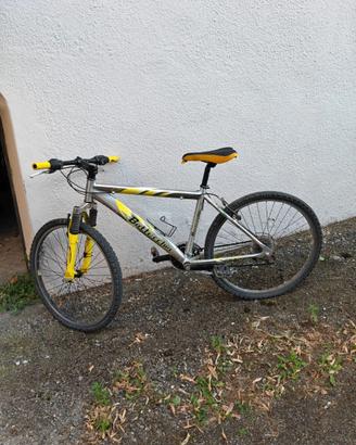 Mountain bike