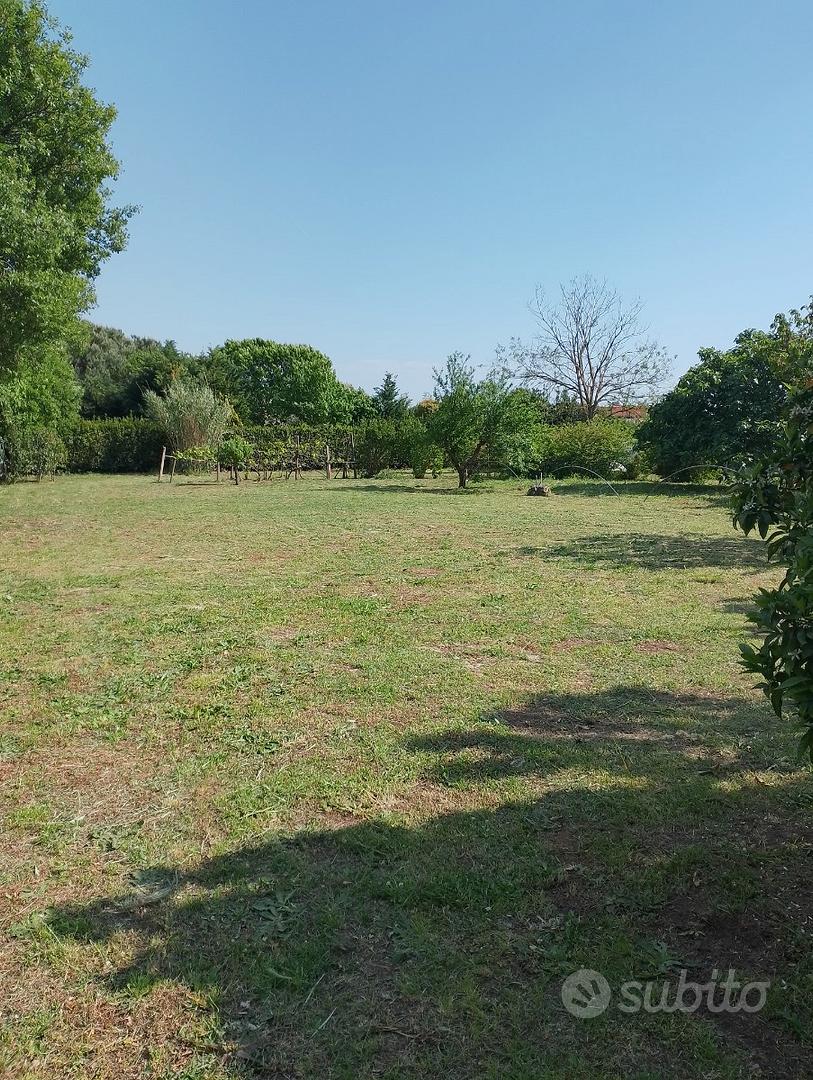 Terreno a Castiglione della Pescaia - Altro