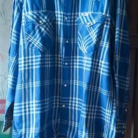 Camicia lee blu e bianca