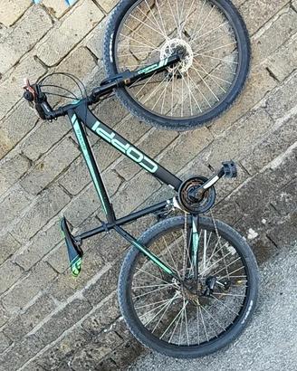 bicicletta 