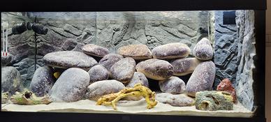 Acquario Juwel Rio 180 LED completo di mobile