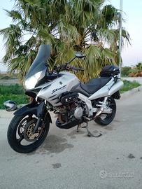 Suzuky v strom 1000DL