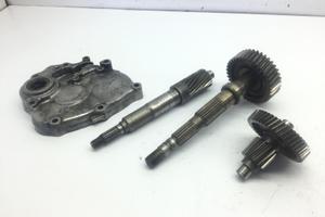 HONDA FORZA 250 CARTER E INGRANAGGI RUOTA POSTERIO