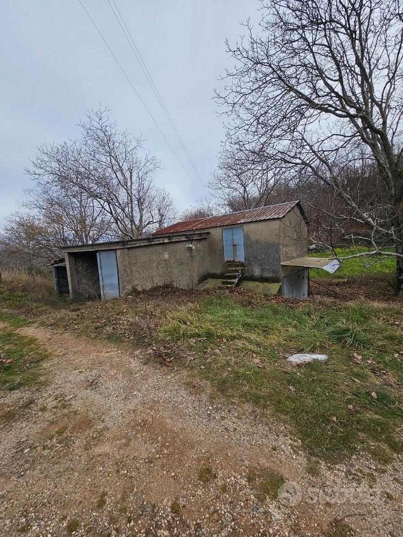 Casolare e terreno - Vista 3