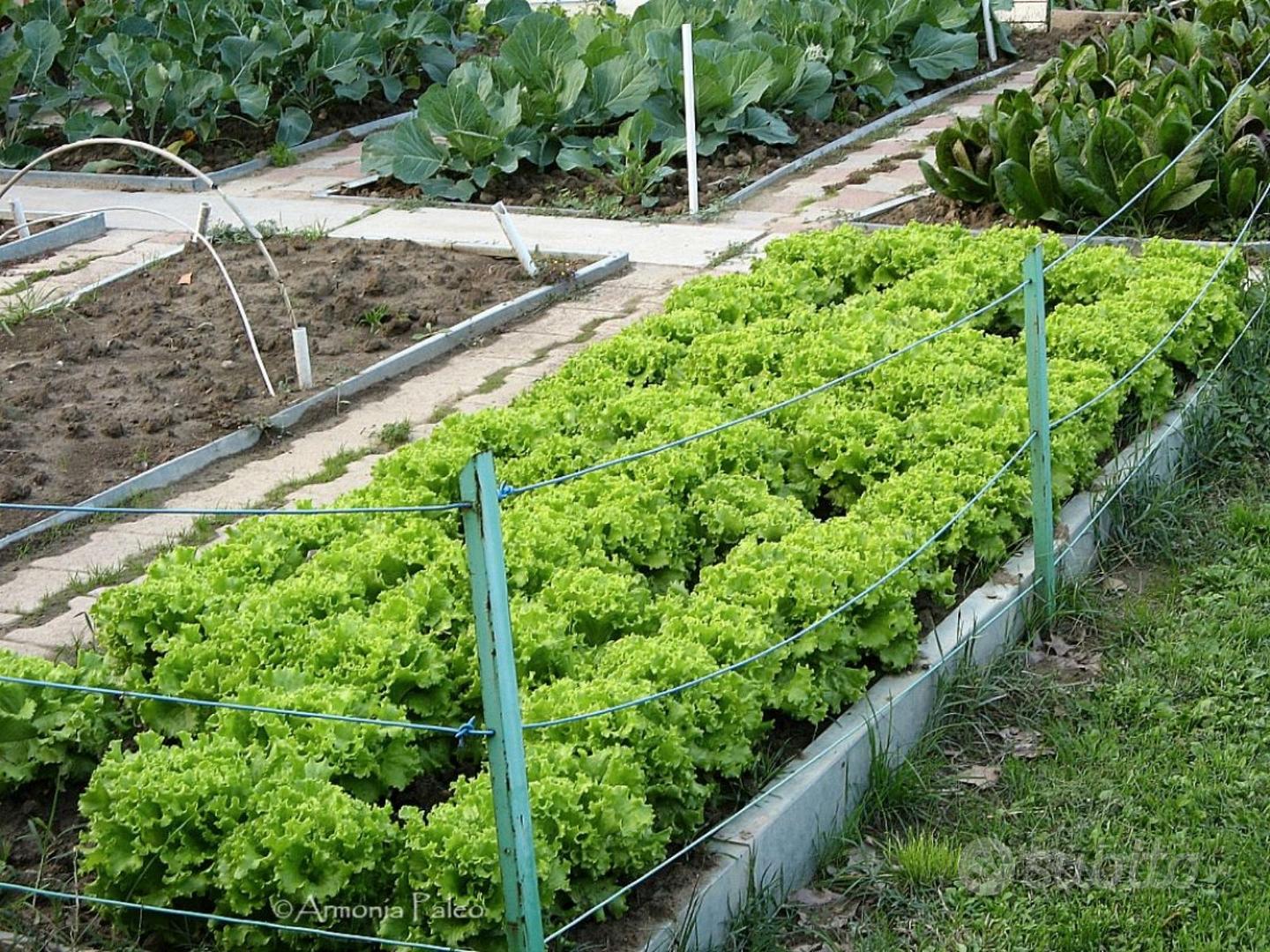 Terreno agricolo - Vista 2