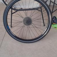 ruota posteriore giant con pacco pignoni 9 rapport