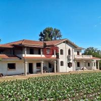 VILLA con giardinoe uliveto-C.da Piano Cappelle-BN