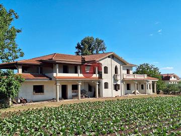 VILLA con giardinoe uliveto-C.da Piano Cappelle-BN