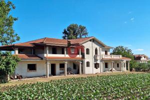 VILLA con giardinoe uliveto-C.da Piano Cappelle-BN