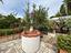 Immagine 26