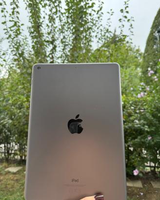 Ipad 9th gen