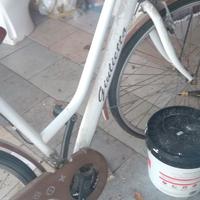 bicicletta