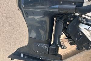 Motore evinrude 115 ficht ram