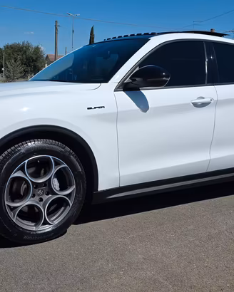 Stelvio 2.2 160cv Garanzia Tetto Panoramico 