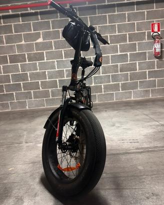 Bici elettrica FAT REDWOOD MONKEY