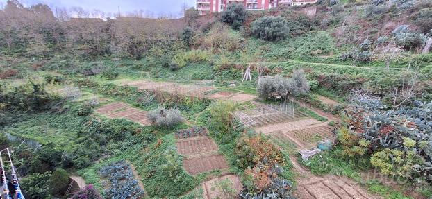 Terreno Agricolo Messina [0618/1863VCG]