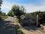 Immagine 26