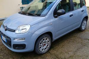 Fiat Panda Easy 1.2 benzina 69 CV cambio manuale